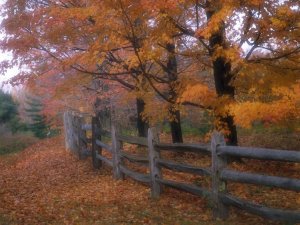 Осень в сельской местности - скачать обои на рабочий стол
