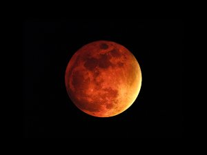 Красная полная луна - скачать обои на рабочий стол