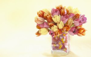 Букет тюльпанов - скачать обои на рабочий стол
