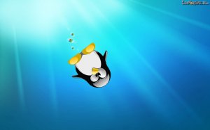 Pingvin - скачать обои на рабочий стол