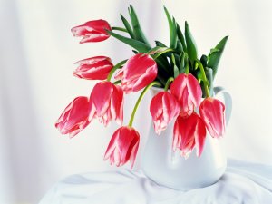 Тюльпаны в кувшине - скачать обои на рабочий стол