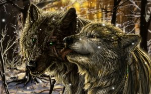 Волчья любовь - скачать обои на рабочий стол