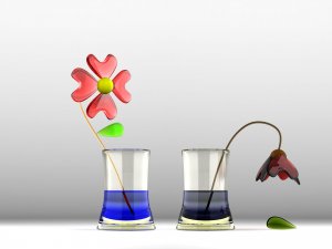 3D-цветы - скачать обои на рабочий стол