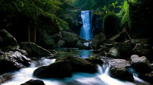 Водопад в тропиках - скачать обои на рабочий стол
