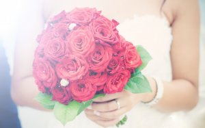 Розы невесты - скачать обои на рабочий стол