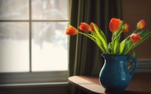 Кувшин с тюльпанами - скачать обои на рабочий стол