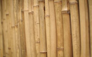 Бамбуковая стена - скачать обои на рабочий стол