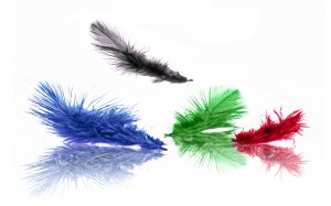 Цветные перья - скачать обои на рабочий стол