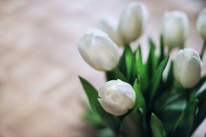Букет весенних тюльпанов - скачать обои на рабочий стол