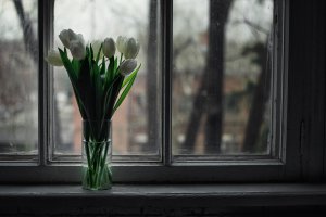 Букет тюльпанов на окне - скачать обои на рабочий стол