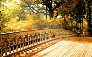 Деревянный мост - скачать обои на рабочий стол