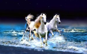 Тройка белых лошадей - скачать обои на рабочий стол