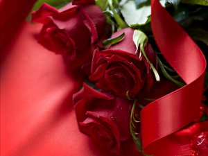 Розы с лентой - скачать обои на рабочий стол
