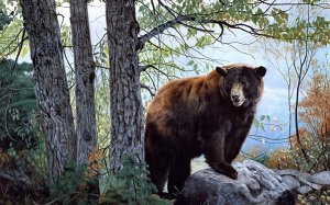 Нарисованный медведь - скачать обои на рабочий стол