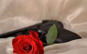 Обои для рабочего стола: Розги и розы