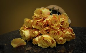 Желтые розы - скачать обои на рабочий стол