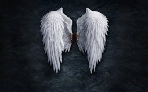 Обои для рабочего стола: Крылья ангела
