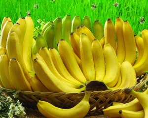 Банановый рай - скачать обои на рабочий стол