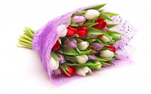 Букет тюльпанов в фиолетовой обертке - скачать обои на рабочий стол