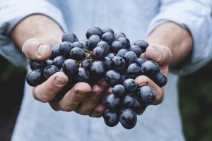 Черный виноград - скачать обои на рабочий стол