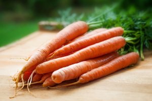 Свежая морковь - скачать обои на рабочий стол