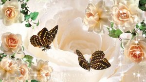 Бабочки на розах - скачать обои на рабочий стол