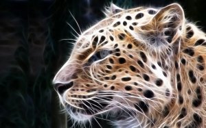 Фрактальный портрет ягуара - скачать обои на рабочий стол