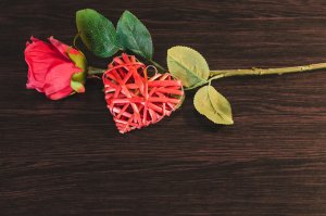 Сердце и роза - скачать обои на рабочий стол