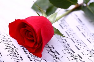Музыка и цветок - скачать обои на рабочий стол