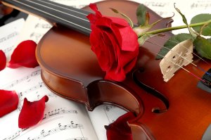 Обои для рабочего стола: Скрипка и роза