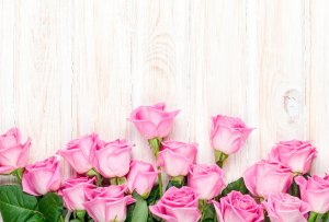 Обои для рабочего стола: Розовые и нежные