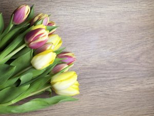 Букет желтых и сиреневых тюльпанов - скачать обои на рабочий стол