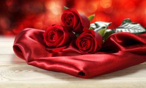 Три красных розы - скачать обои на рабочий стол
