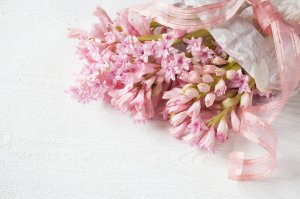 Розовые гиацинты - скачать обои на рабочий стол