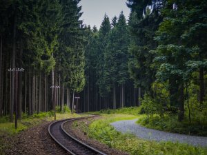 Железная дорога в лесу - скачать обои на рабочий стол