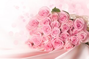 Нежно розовые розы - скачать обои на рабочий стол
