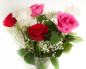 Букет роз с мелкой травкой - скачать обои на рабочий стол