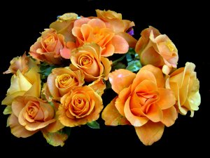 Оранжевые розы - скачать обои на рабочий стол