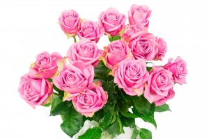 Розовые розы в букете - скачать обои на рабочий стол