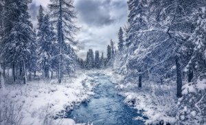 Зимний лес и река - скачать обои на рабочий стол