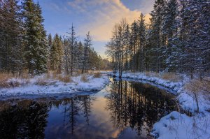 Обои для рабочего стола: Река и лес зимой