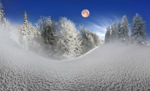 Луна и снег - скачать обои на рабочий стол