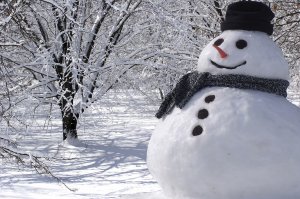 Снеговик с шарфом - скачать обои на рабочий стол
