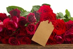 Розы с биркой - скачать обои на рабочий стол