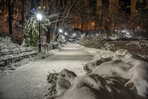 Ночь в зимнем парке - скачать обои на рабочий стол