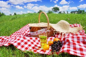 Пикник на траве - скачать обои на рабочий стол