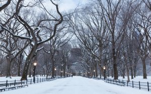 Зима в американском парке - скачать обои на рабочий стол