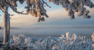Зимний просторы Финляндии - скачать обои на рабочий стол