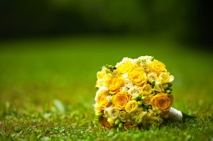 Желтые розы - скачать обои на рабочий стол