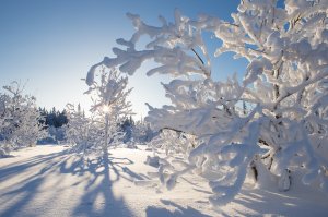 Канадская зима - скачать обои на рабочий стол
